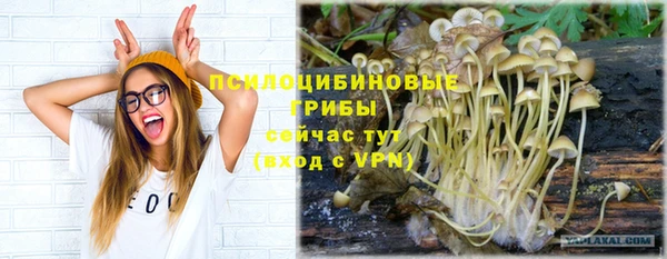 спиды Беломорск
