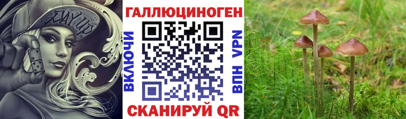 Псилоцибиновые грибы Cubensis  Купить  Пересвет 